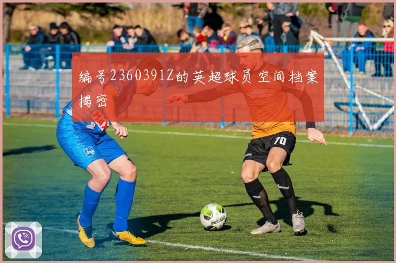 编号2360391Z的英超球员空间档案揭密
