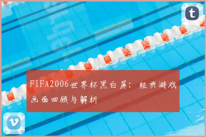 FIFA2006世界杯黑白屏：经典游戏画面回顾与解析