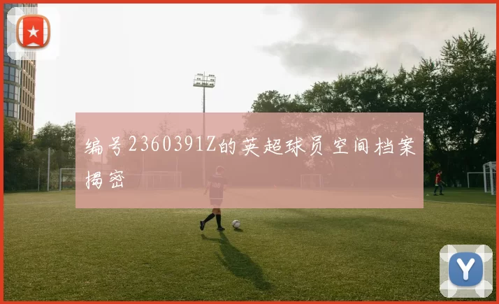 编号2360391Z的英超球员空间档案揭密