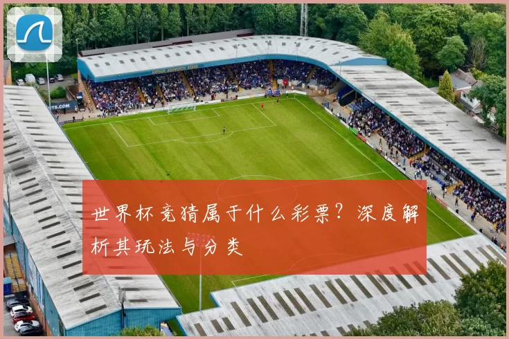 世界杯竞猜属于什么彩票？深度解析其玩法与分类