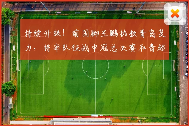 持续升级！前国脚王鹏执教青岛复力，将率队征战中冠总决赛和青超