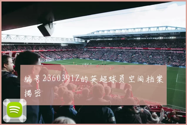 编号2360391Z的英超球员空间档案揭密