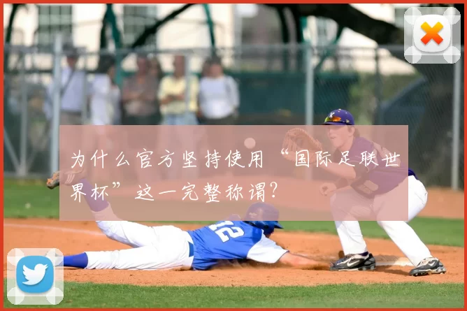 为什么官方坚持使用“国际足联世界杯”这一完整称谓？
