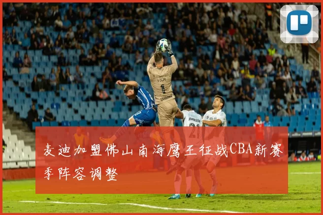 麦迪加盟佛山南海鹰王征战CBA新赛季阵容调整