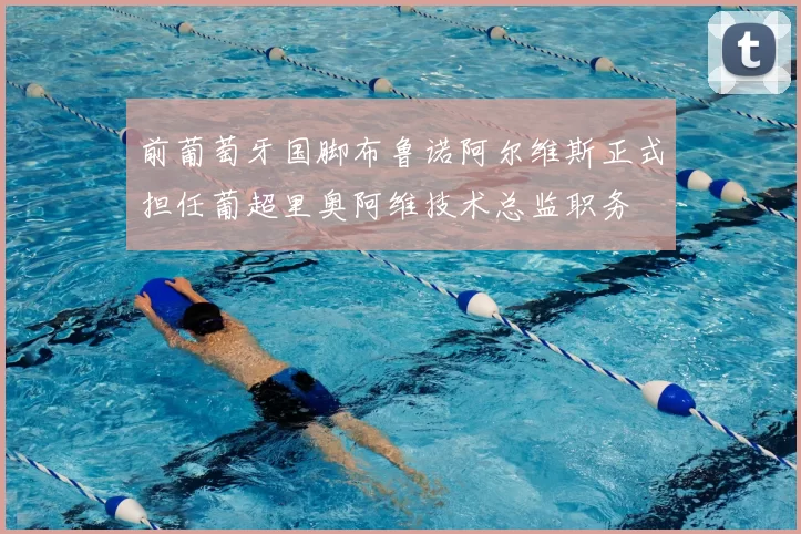 前葡萄牙国脚布鲁诺阿尔维斯正式担任葡超里奥阿维技术总监职务