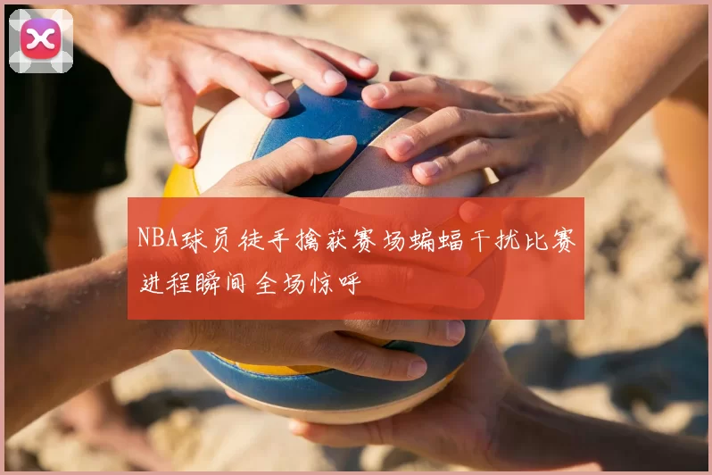 NBA球员徒手擒获赛场蝙蝠干扰比赛进程瞬间全场惊呼