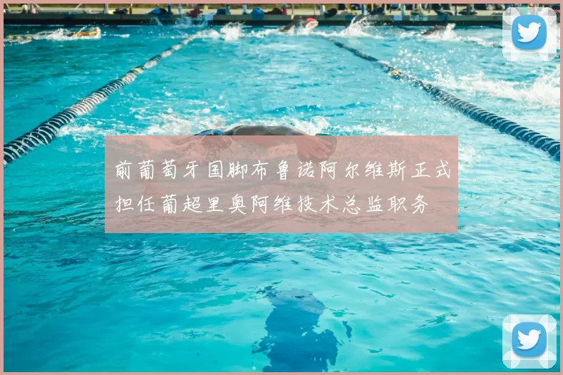前葡萄牙国脚布鲁诺阿尔维斯正式担任葡超里奥阿维技术总监职务