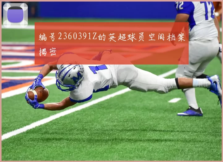 编号2360391Z的英超球员空间档案揭密