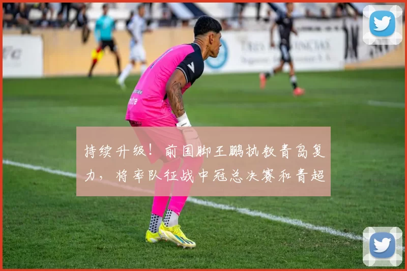 持续升级！前国脚王鹏执教青岛复力，将率队征战中冠总决赛和青超