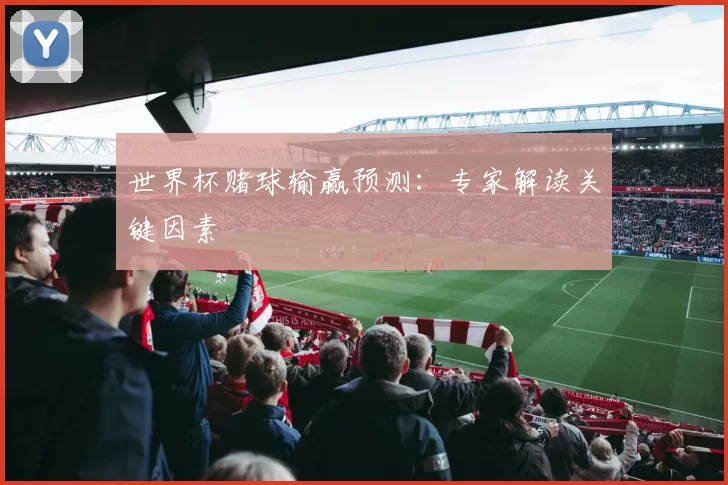 世界杯赌球输赢预测：专家解读关键因素