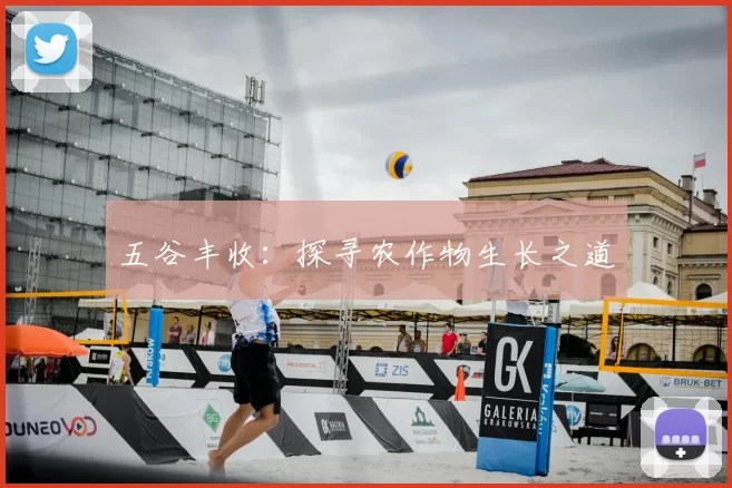 五谷丰收：探寻农作物生长之道