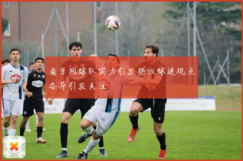 南京网球队实力引发热议球迷观点各异引发关注