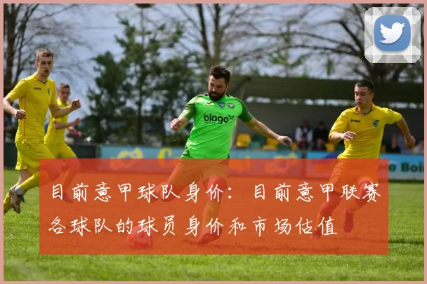 目前意甲球队身价：目前意甲联赛各球队的球员身价和市场估值