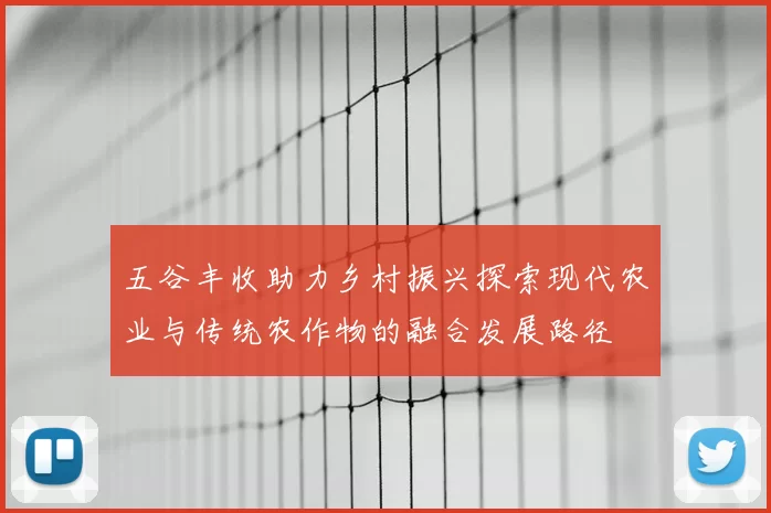 五谷丰收助力乡村振兴探索现代农业与传统农作物的融合发展路径