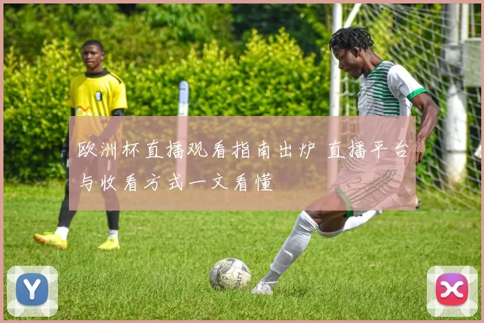 欧洲杯直播观看指南出炉 直播平台与收看方式一文看懂