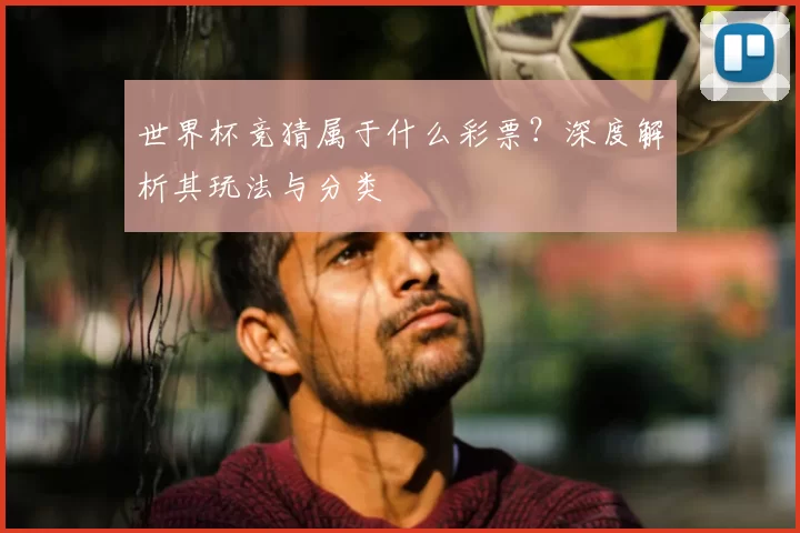 世界杯竞猜属于什么彩票？深度解析其玩法与分类
