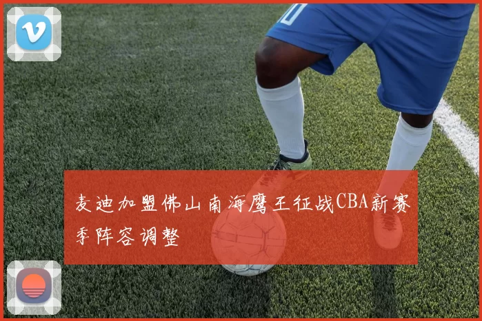 麦迪加盟佛山南海鹰王征战CBA新赛季阵容调整