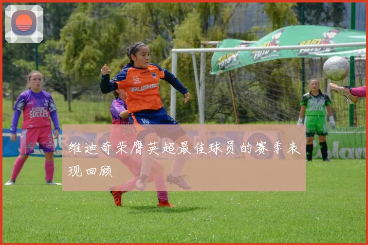 维迪奇荣膺英超最佳球员的赛季表现回顾